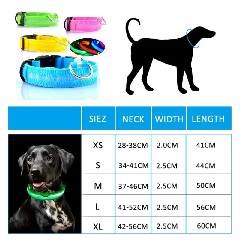 Led Dog Collar Light Anti-lost Collar For Dogs Puppies  Night Luminous Supplies Pet Products Accessories USB Charging/Battery